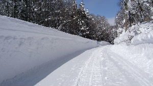 綺麗に除雪された道路