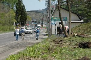 大木伐採の際は危険防止のため行楽の車列整理を行う今井委員ら