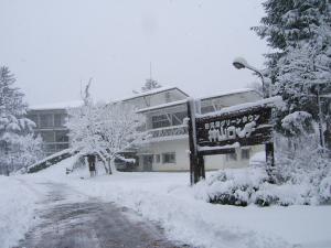 本格的な降雪（神山ロッヂ周辺）