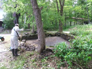 神山ロッヂの池が何十年ぶりにきれいになりました。