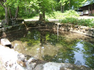 神山ロッヂの池が何十年ぶりにきれいになりました。