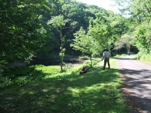 さくらケ丘ほたるが池の草刈作業