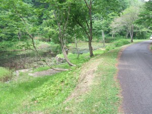 さくらケ丘ほたるが池の草刈作業