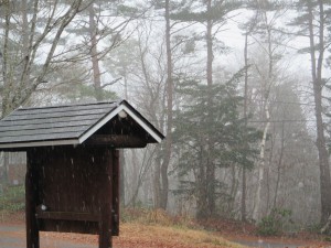 野尻は今初雪が降っております