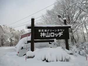 穏やかな新春を迎えました。