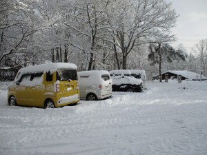 穏やかな新春を迎えました。