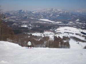 近辺のスキー場オープン情報