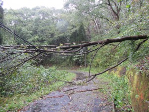 台風19号による災害発生