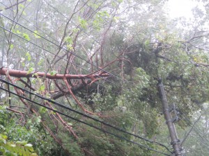 台風19号による災害発生