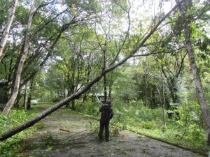 台風19号による災害発生