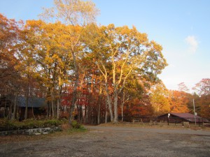 色鮮やかな秋の野尻湖グリーンタウン