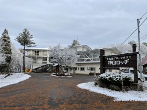 雪がうっすら積もりました