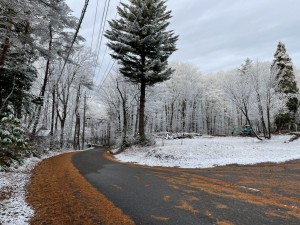 雪がうっすら積もりました