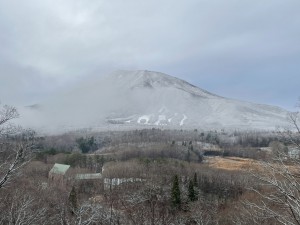 雪がうっすら積もりました