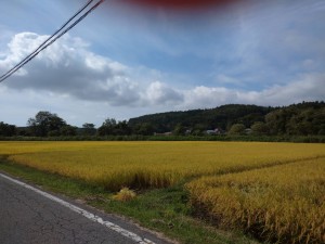 『信濃町の秋・里の秋・実りの秋』