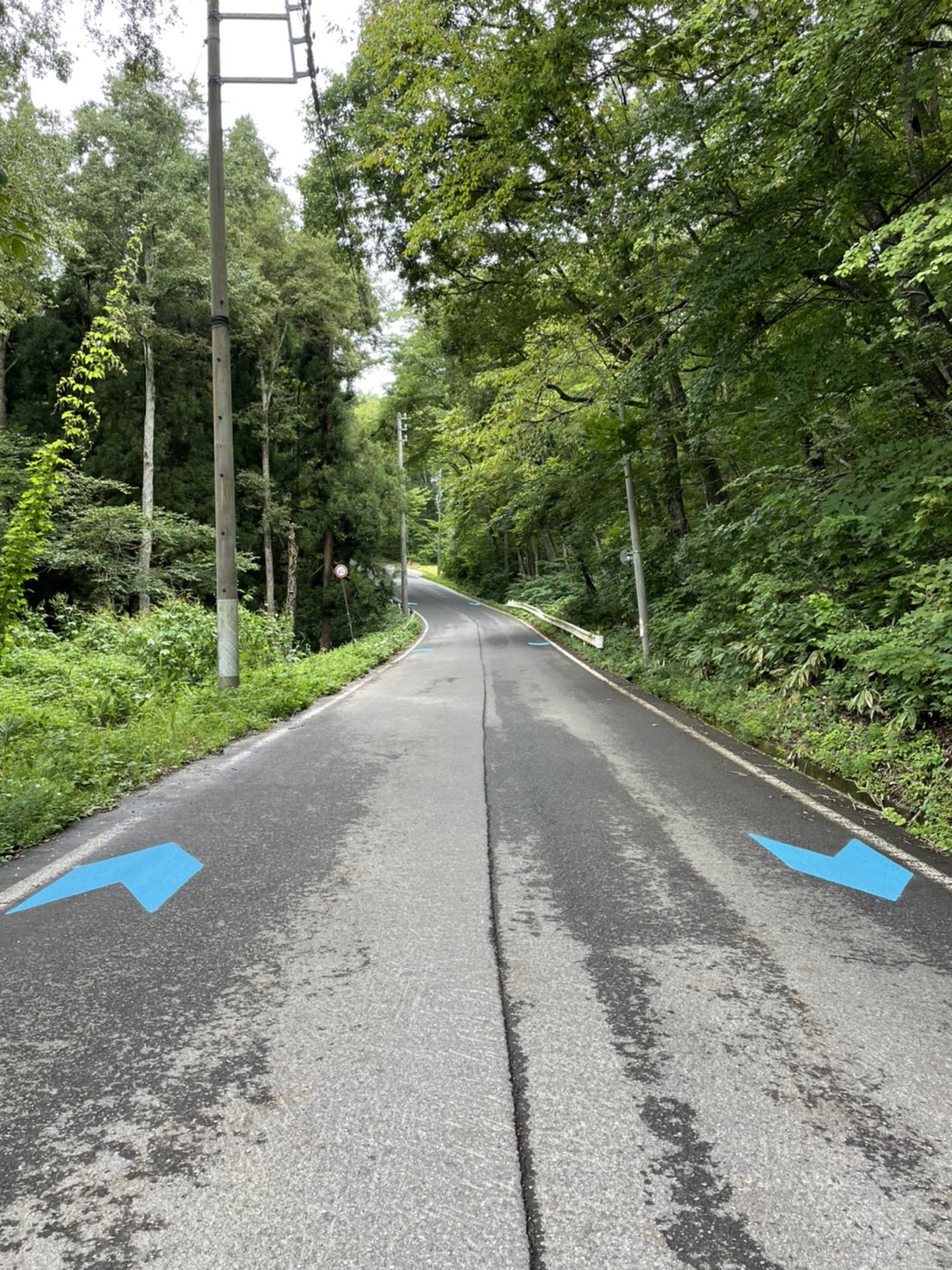 S__337797123